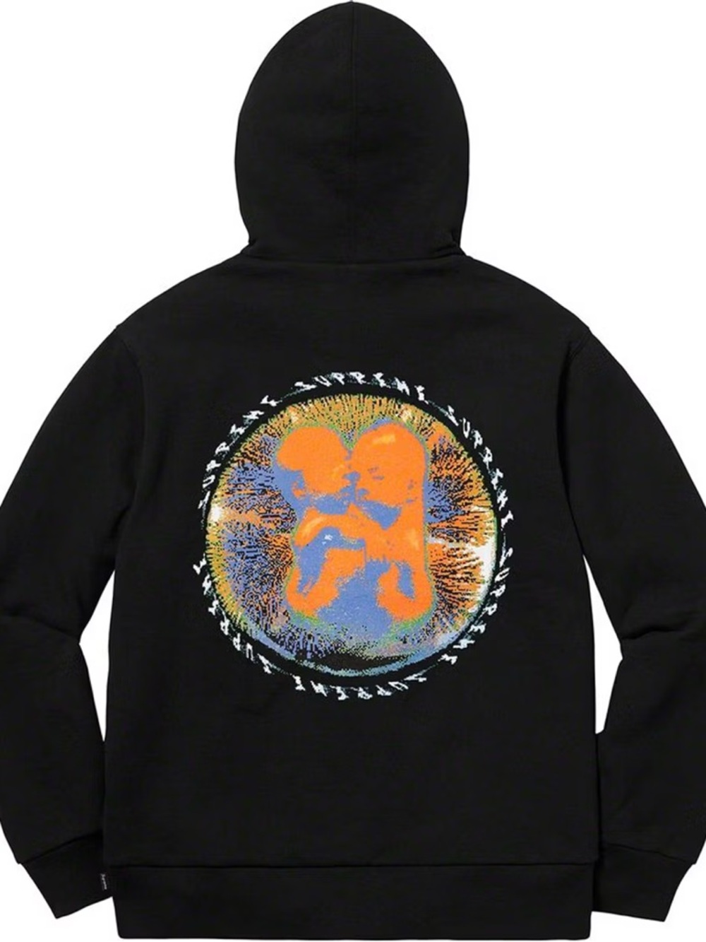 Supreme Embryo Hooded Sweatshirt